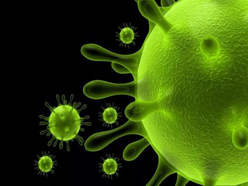 白山冠状病毒是什么浅谈新冠肺炎病毒常识与冠状病毒防疫